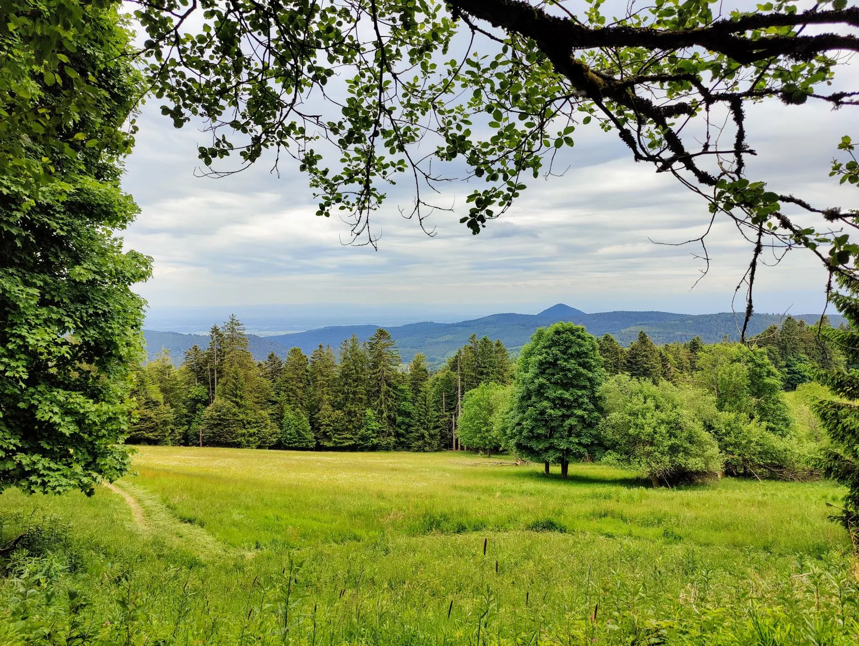 Etappe 30: Schirmeck ⇒ Le Hohwald (GR5) - foto 4