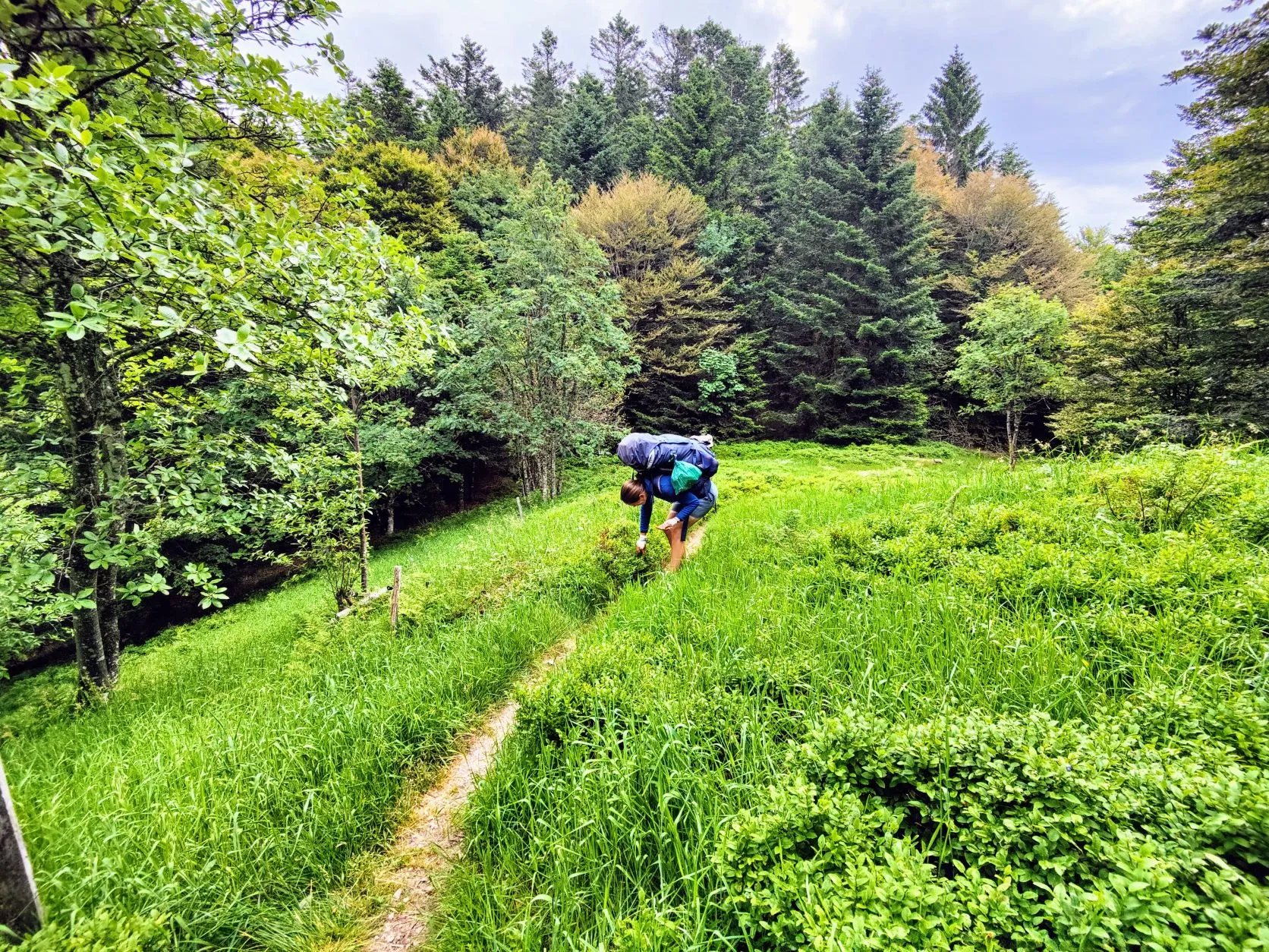 Etappe 40: Cabane le Petite Chaume ⇒ Giromagny (GR5) - foto 1