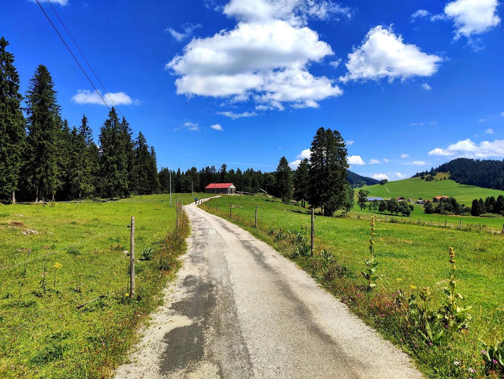 Etappe 48: Les Brenets ⇒ Cabane du Mont Châteleu - foto 6