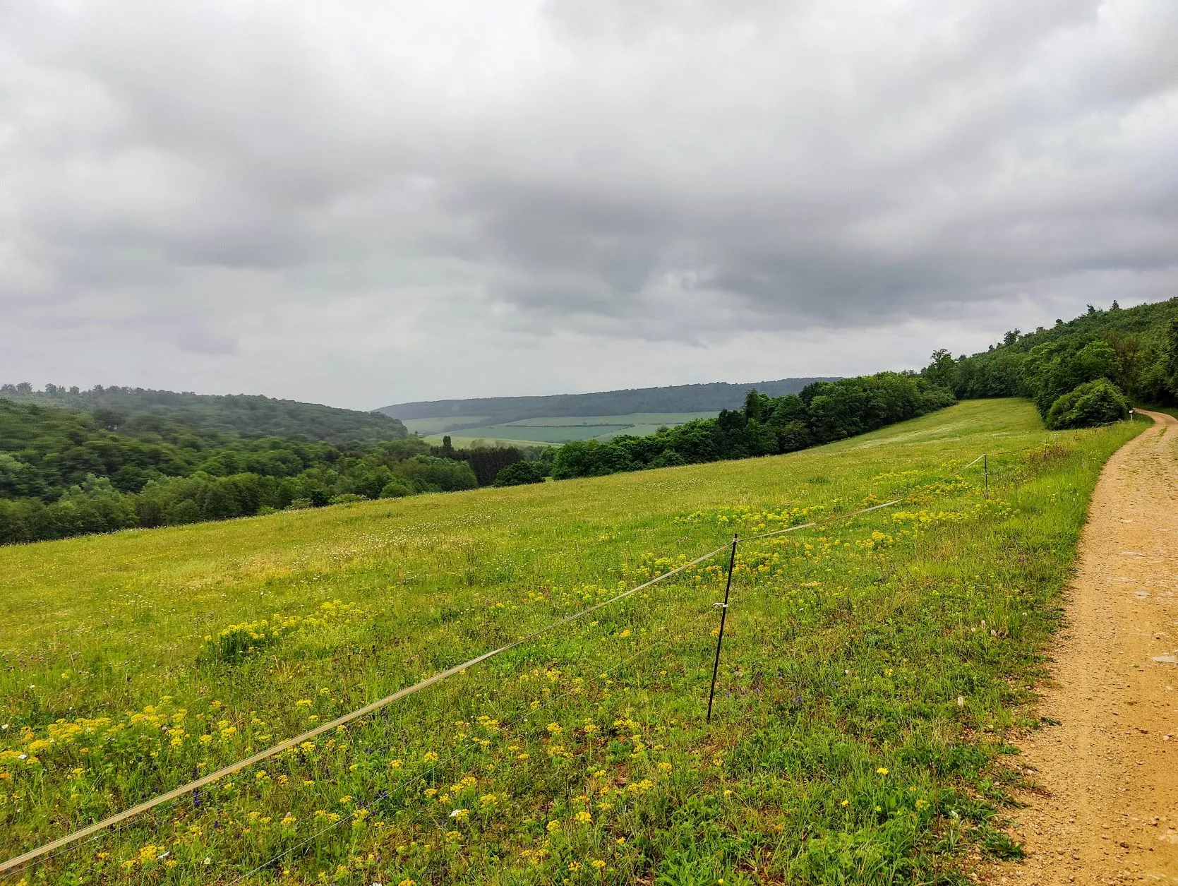 Etappe 20: Pagny-sur-Moselle ⇒ Pont-à-Mousson (GR5) - foto 3