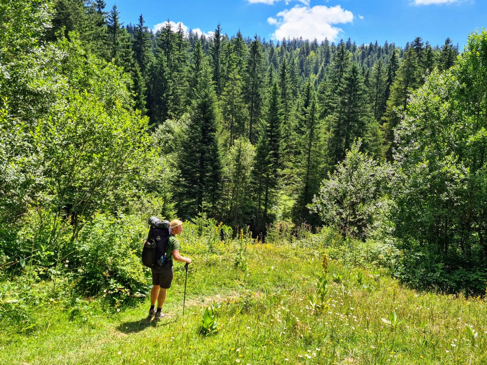 Etappe 49: Cabane du Mont Châteleu ⇒Pontarlier - foto 3