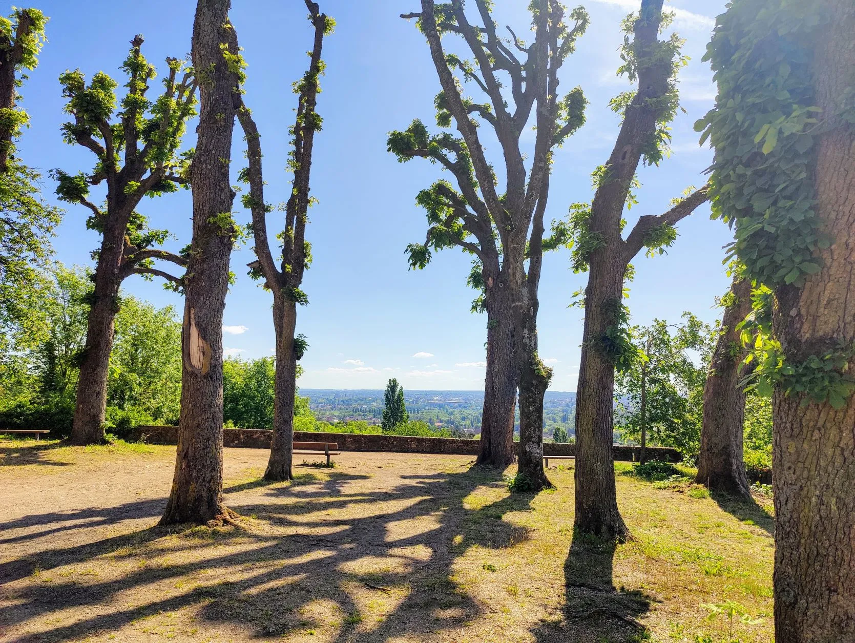 Etappe 18: Metz ⇒ Ancy-Dornot (GR5) - foto 3