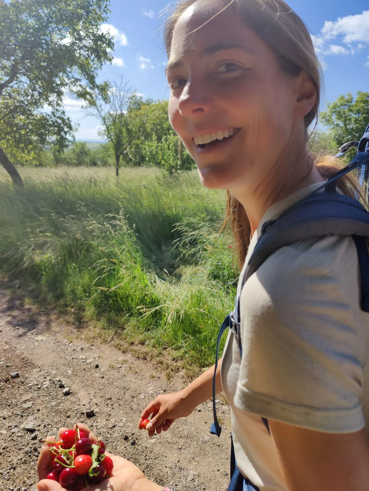 Etappe 24: Vic-sur-Seille ⇒ Val-de-Bride (GR5) - foto 3