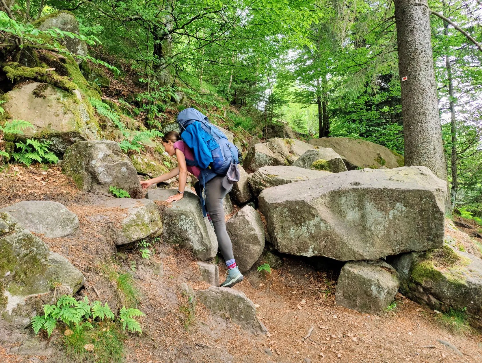 Etappe 28: Saint-Quirin ⇒ Col du Donon (GR5) - foto 5