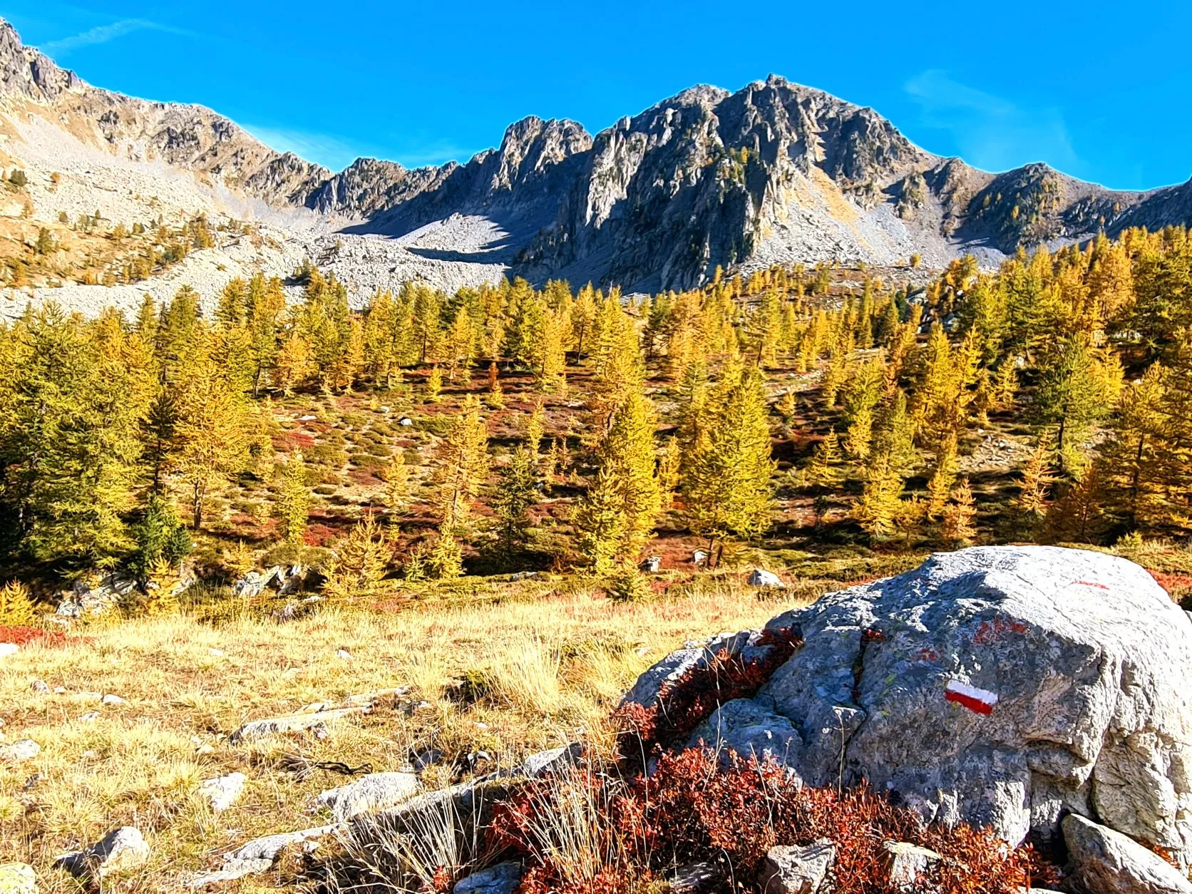 Etappe 87: Saint-Dalmas ⇒ Boréon - foto 6