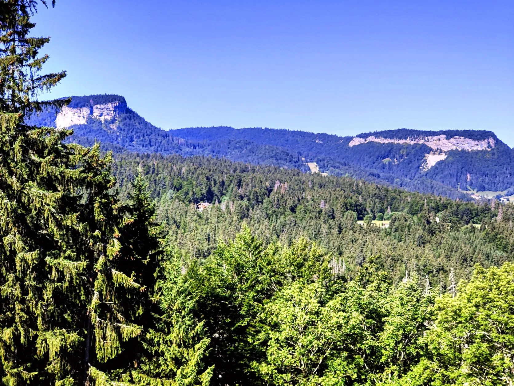 Etappe 54: Les Rousses ⇒ Saint-Cergue - foto 2