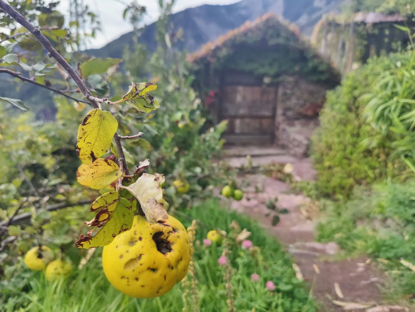 Etappe 86: Crête de la Clauetta ⇒ Saint-Dalmas - foto 3