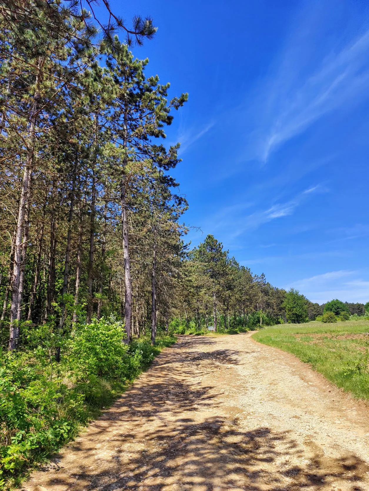 Etappe 19: Ancy-Dornot ⇒ Pagny-sur-Moselle (GR5) - foto 3