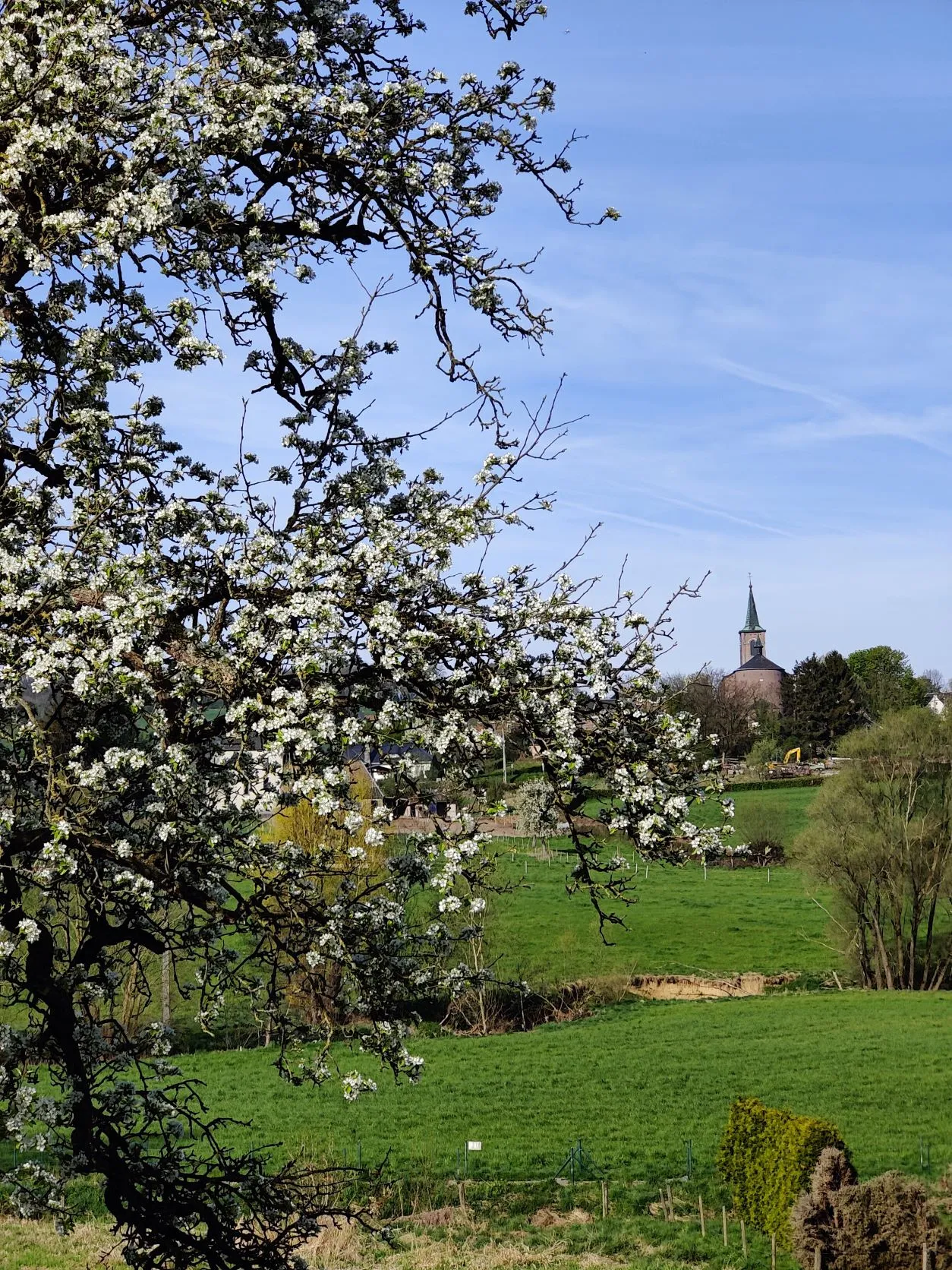 Etappe 2: Cottessen – Baelen (Aanlooproute) - foto 2