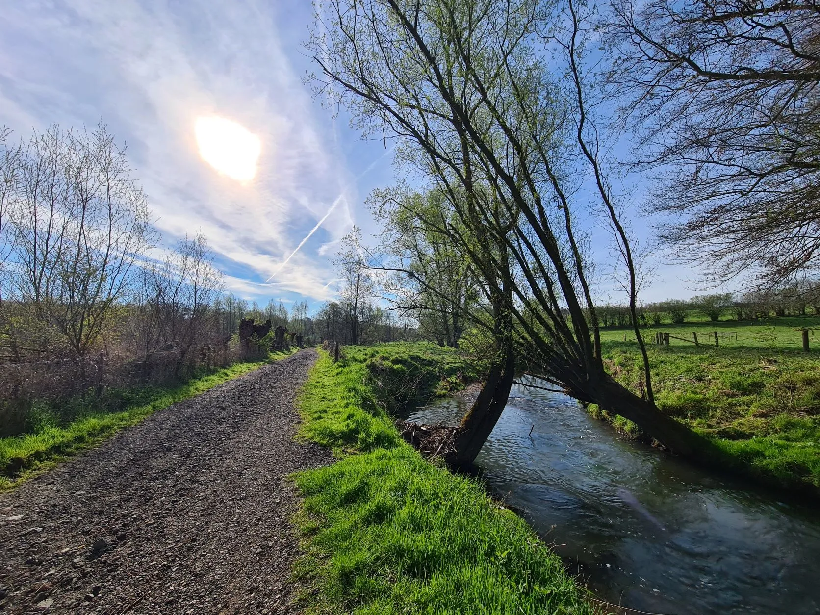 Etappe 2: Cottessen – Baelen (Aanlooproute) - foto 3