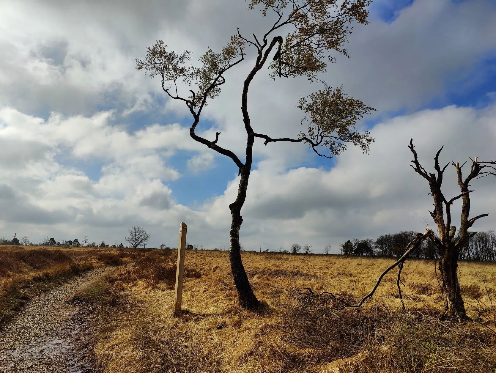 Etappe 4: Spa – Stavelot (GR5) - foto 2