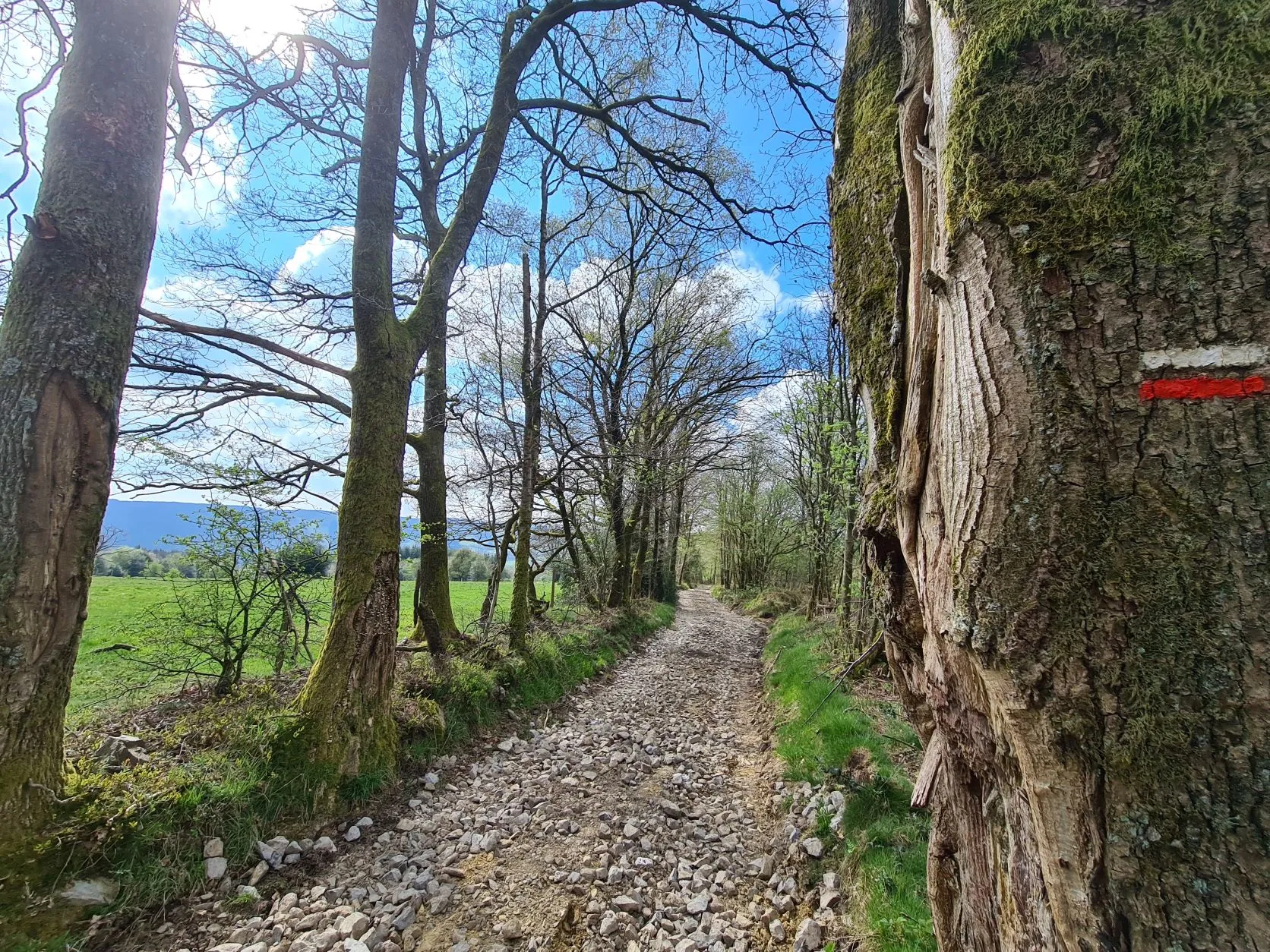 Etappe 4: Spa – Stavelot (GR5) - foto 4