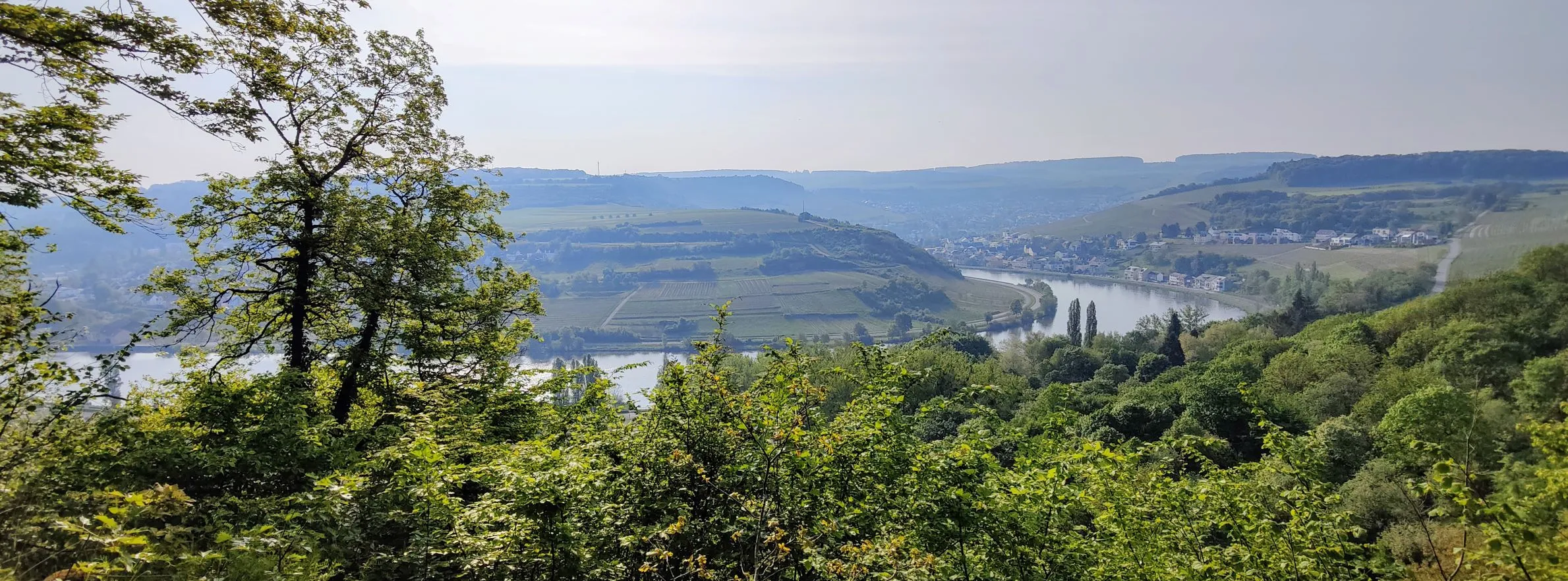 Etappe 14: Grevenmacher – Remich (GR5) - foto 2