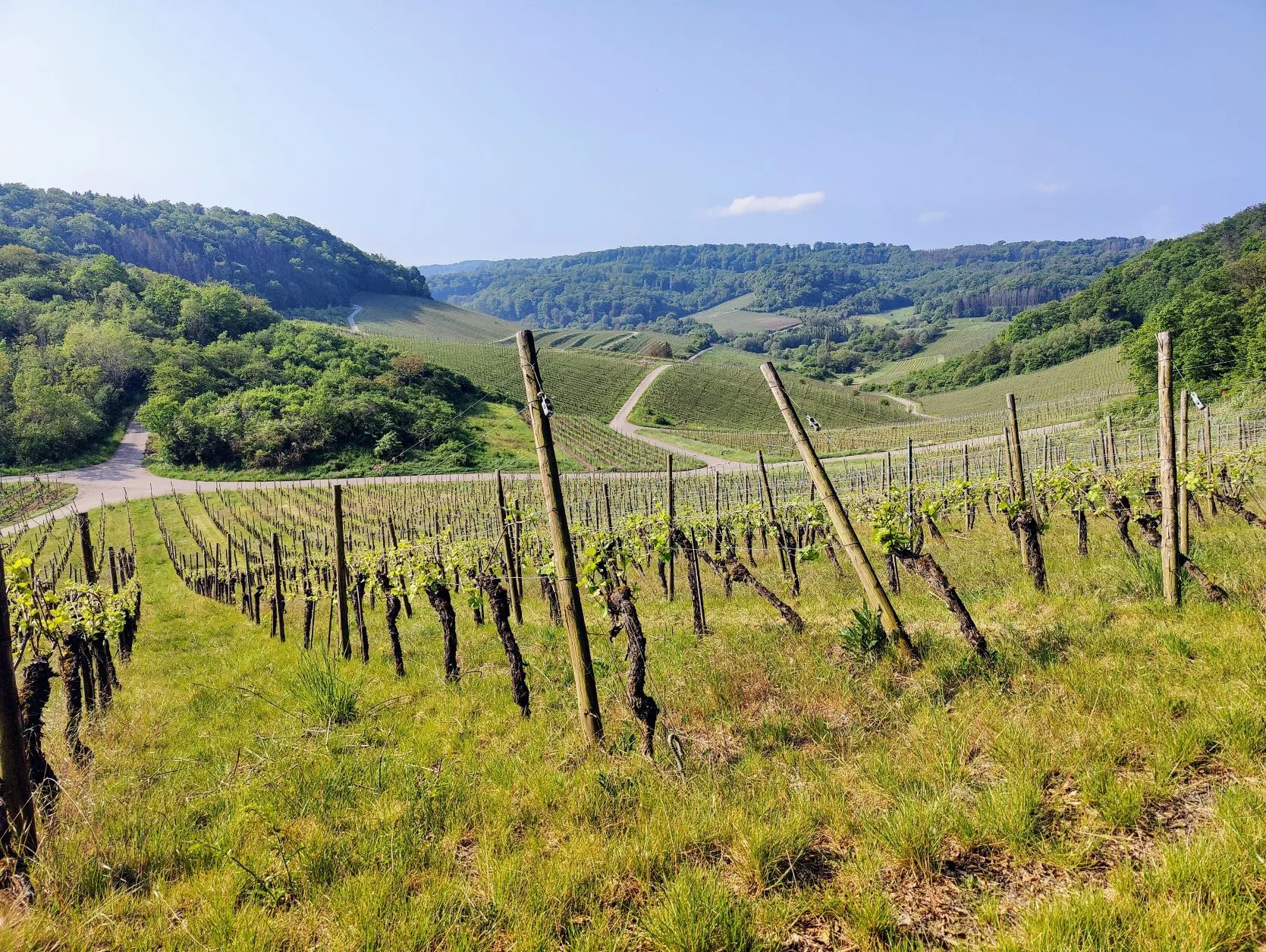 Etappe 15: Remich – Sierck-Les-Bains (GR5) - foto 3