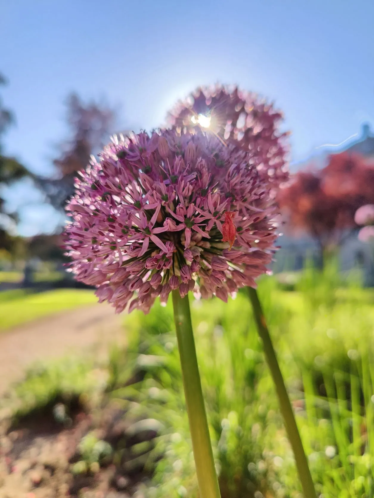 Etappe 16: Sierck-Les-Bains ⇒ Kédange-sur-Canner (GR5) - foto 1