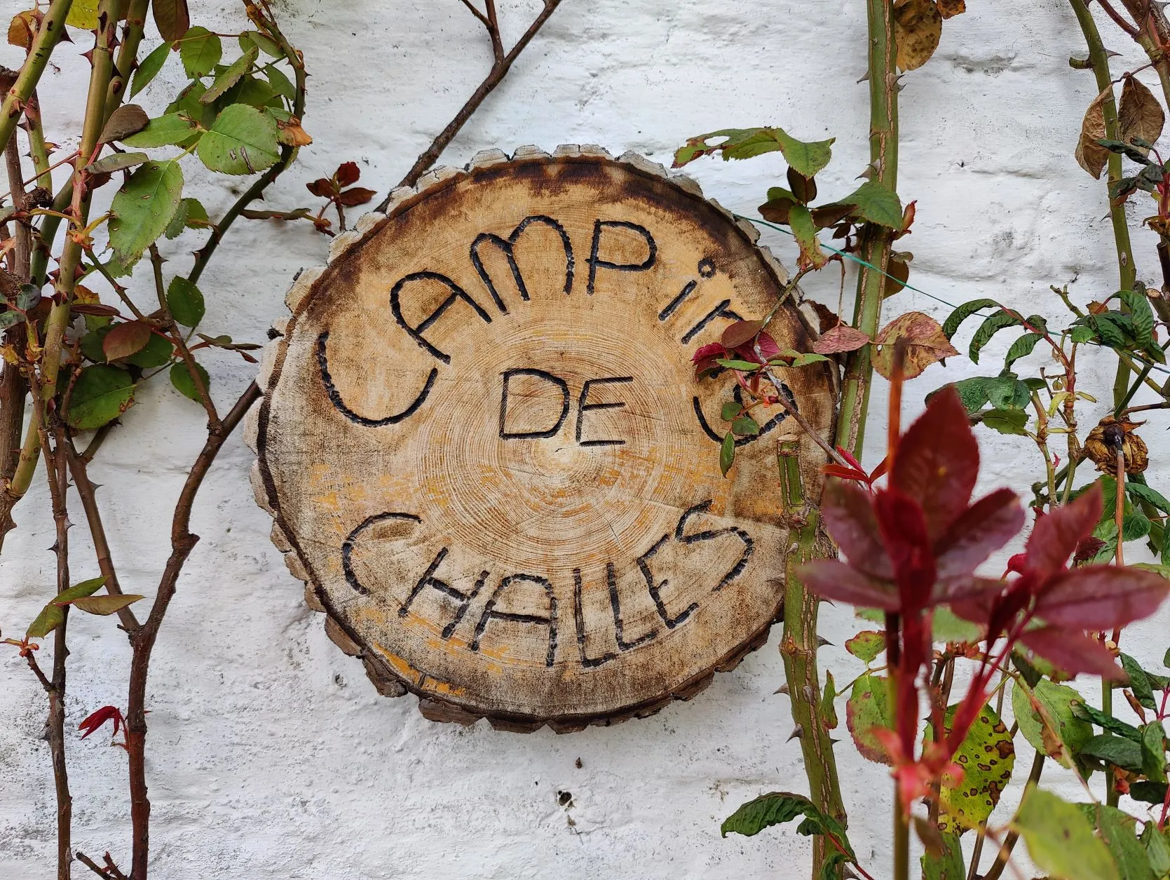 Etappe 5: Stavelot – Vielsalm (GR5) - foto 1