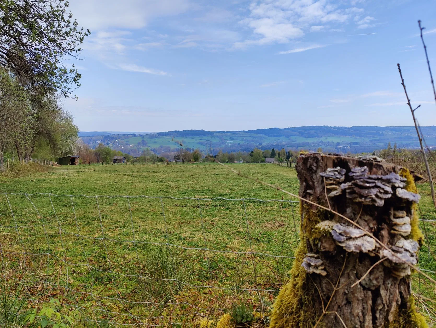Stage 6: Vielsalm ⇒ Grüfflingen - photo 1