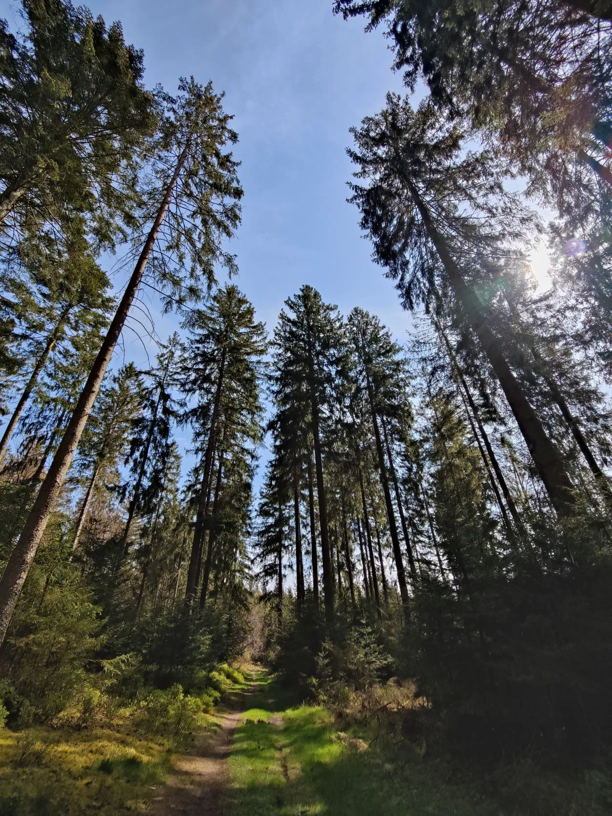 Stage 6: Vielsalm ⇒ Grüfflingen - photo 3