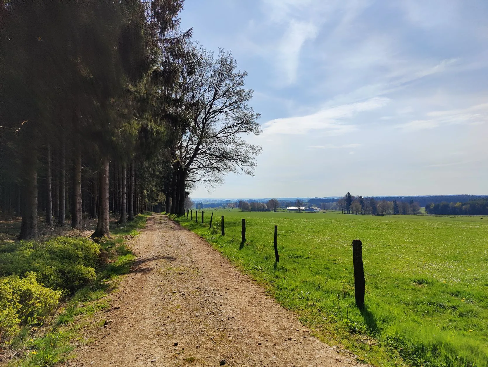 Stage 6: Vielsalm ⇒ Grüfflingen - photo 4