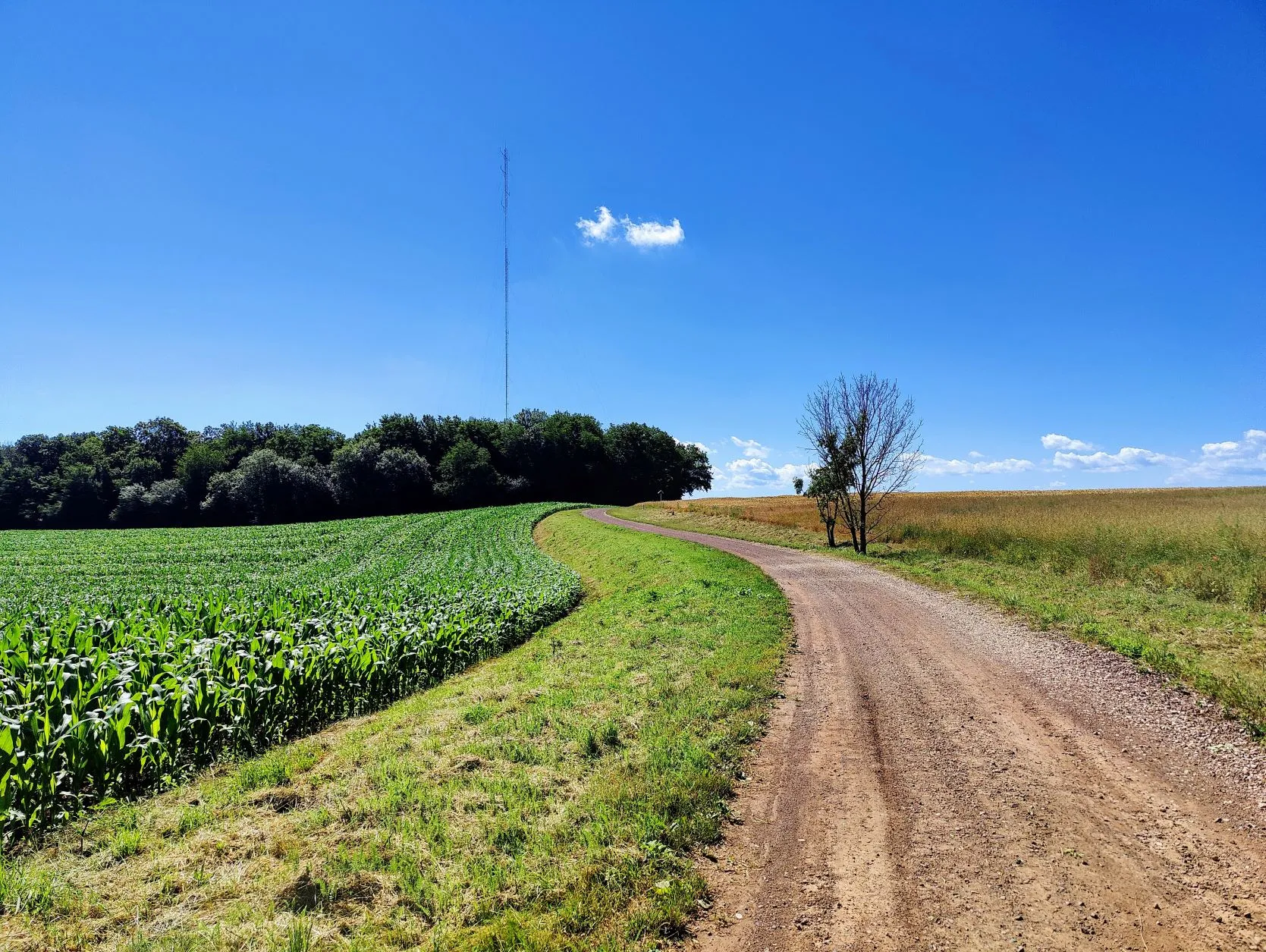 Etappe 42: Belfort ⇒ Dasle - foto 4