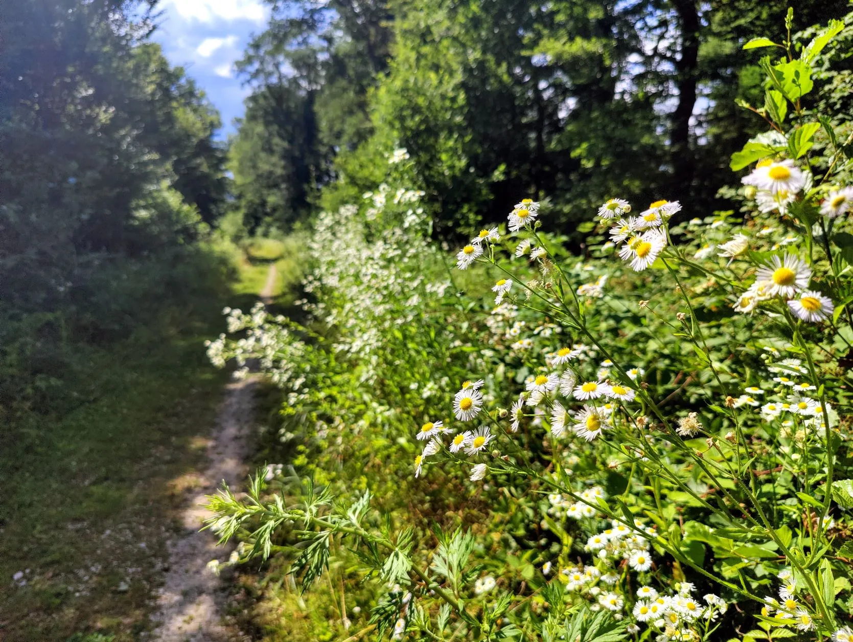 Etappe 42: Belfort ⇒ Dasle - foto 9