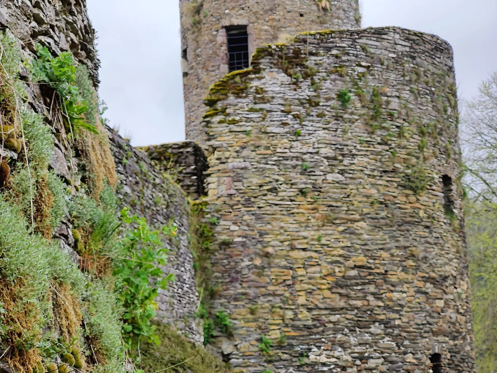 Etappe 7: Grüfflingen – Tintesmühle (GR5) - foto 2