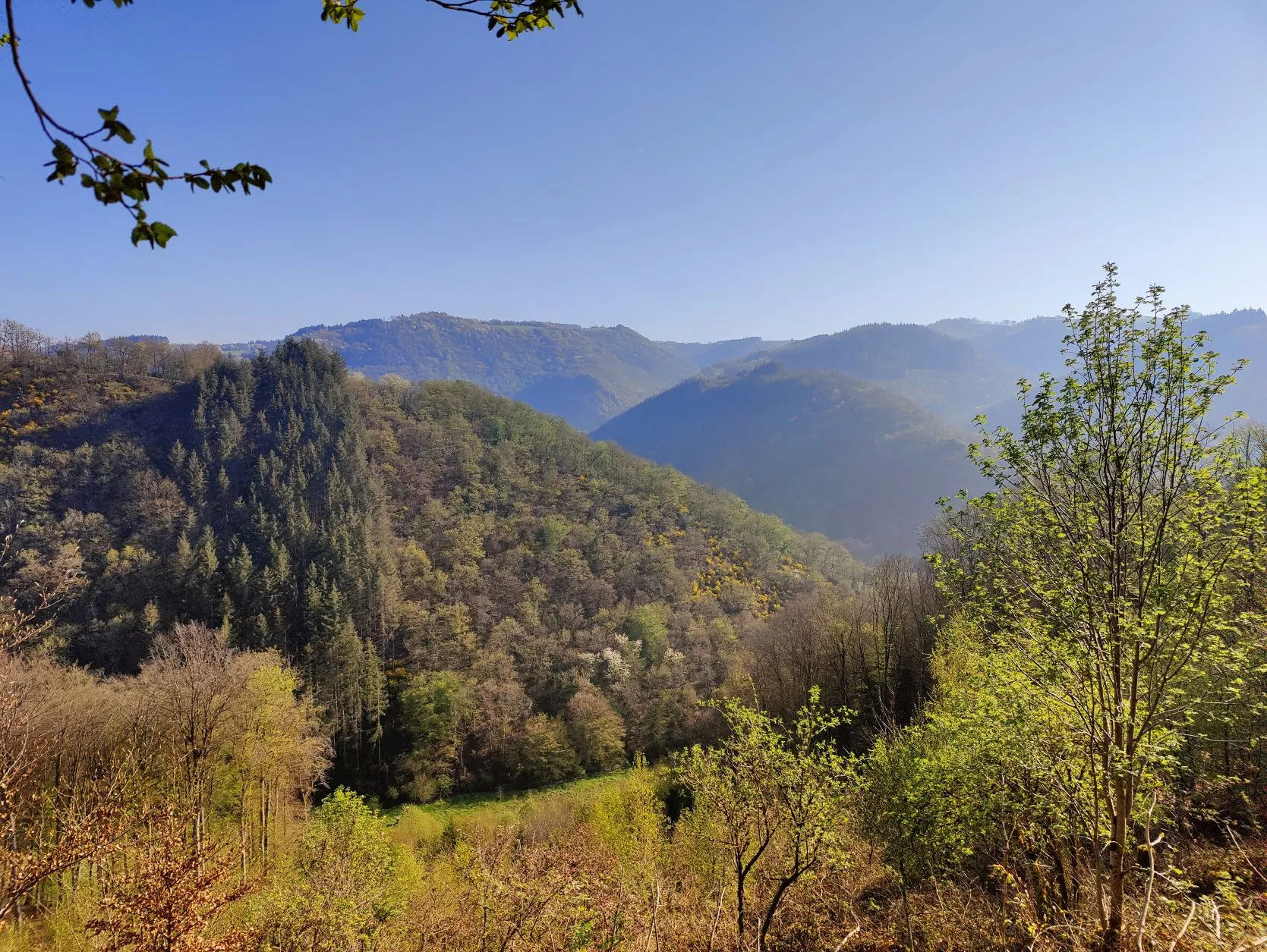 Etappe 9: Stolzembourg – Diekirch (GR5) - foto 1