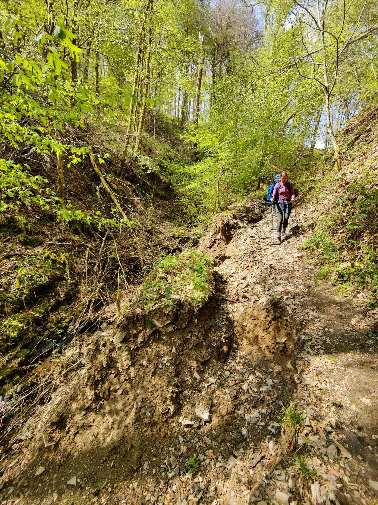 Etappe 8: Tintesmühle ⇒ Stolzembourg (GR5) - foto 3