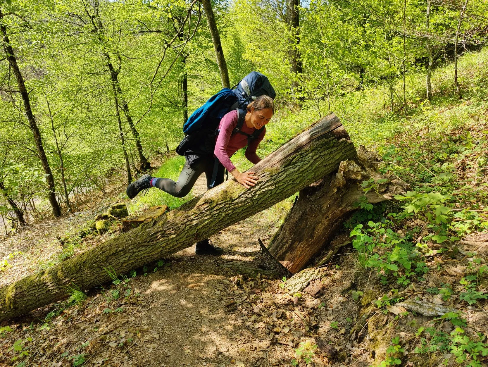 Etappe 9: Stolzembourg – Diekirch (GR5) - foto 4