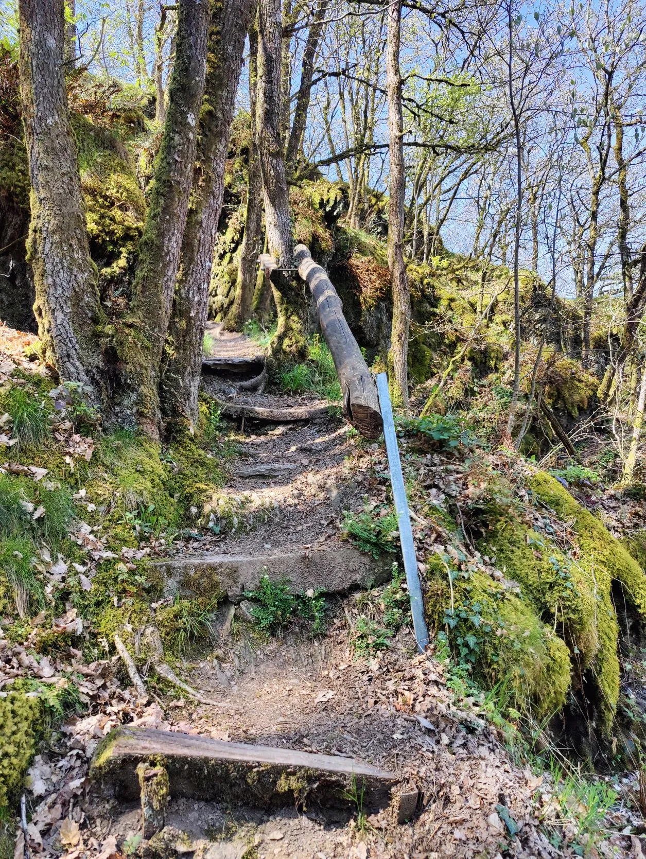 Etappe 9: Stolzembourg – Diekirch (GR5) - foto 5