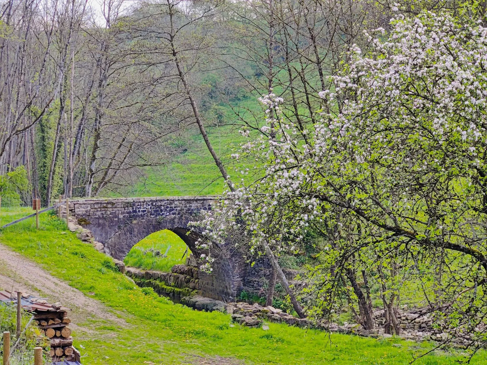 Etappe 10: Diekich – Beaufort (GR5) - foto 4