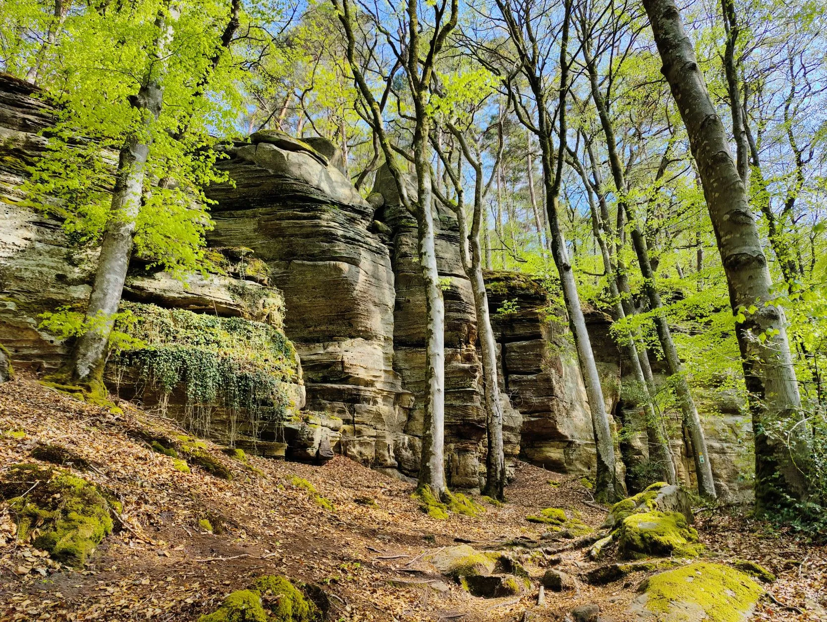 Etappe 11: Beaufort – Echternach (GR5) - foto 2