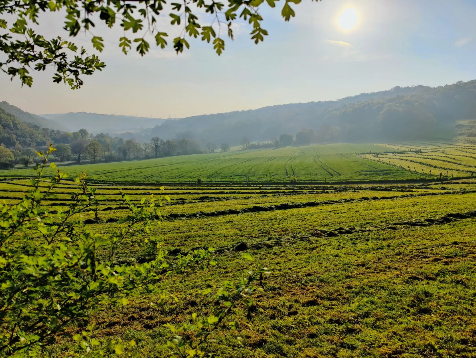 Etappe 12: Echternach – Wasserbillig (GR5) - foto 1