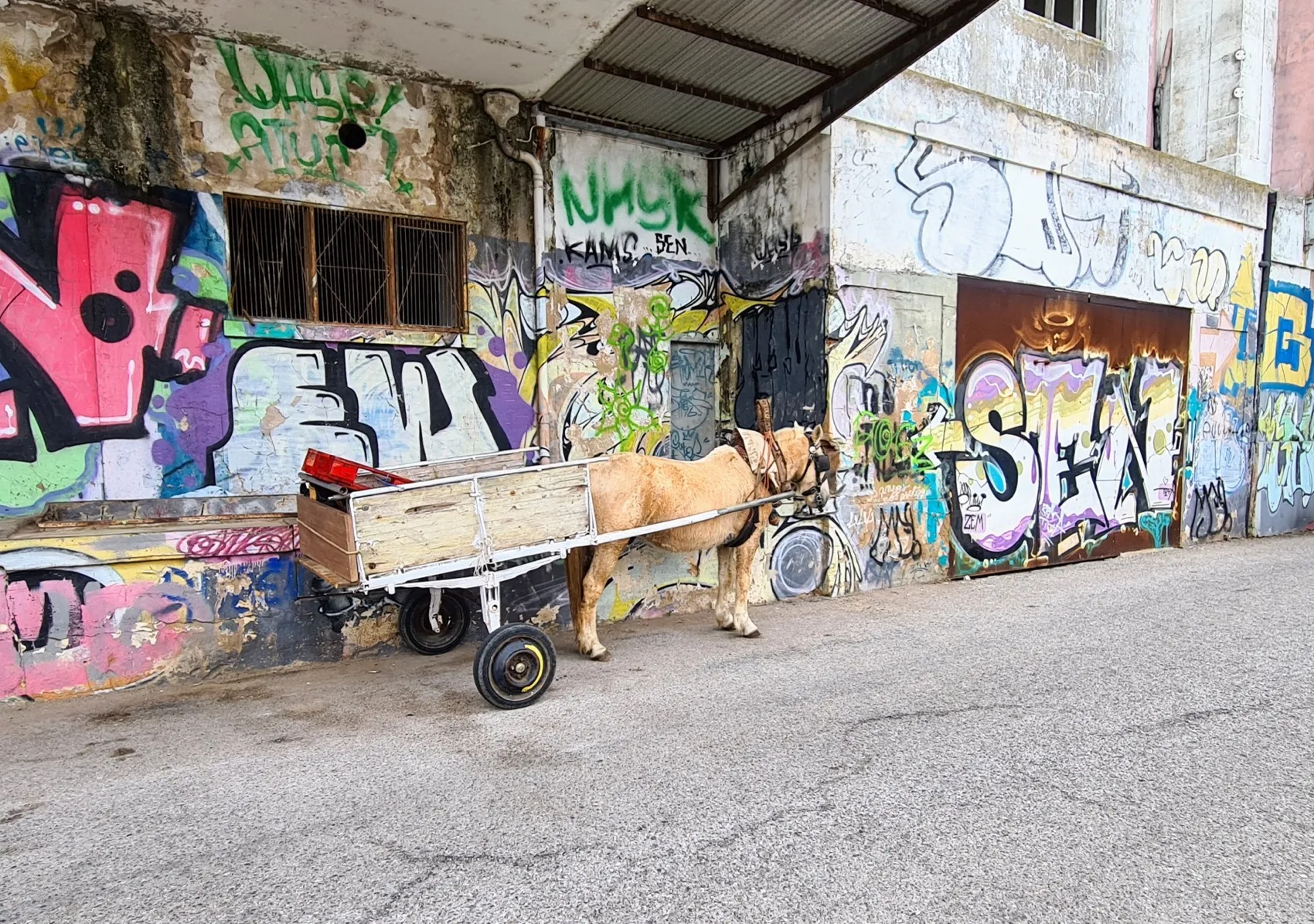 Etappe 9: Ponte de Baixo ⇒ Olhão - foto 3