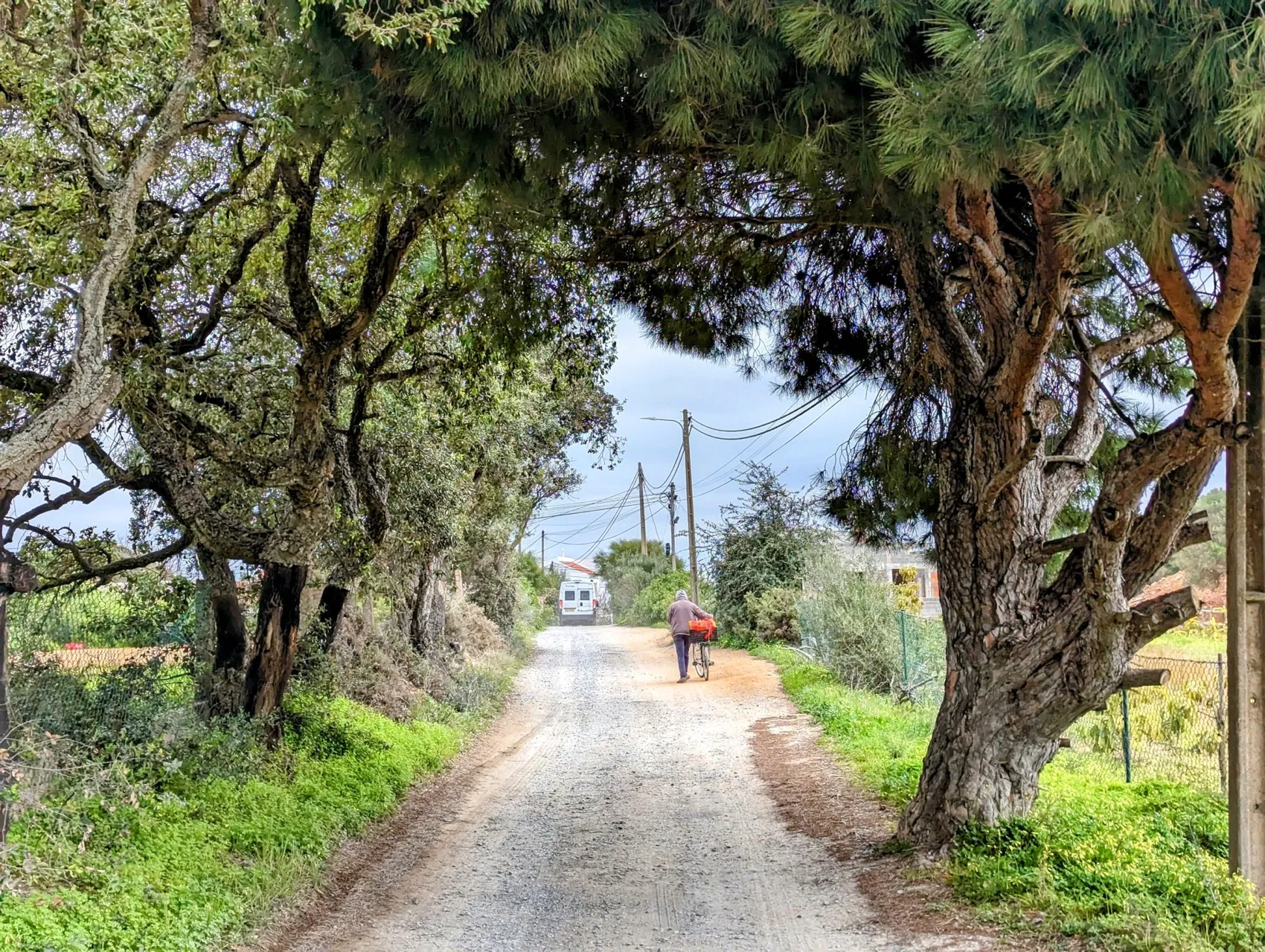 Etappe 11: Fuseta ⇒ Conceição - foto 2