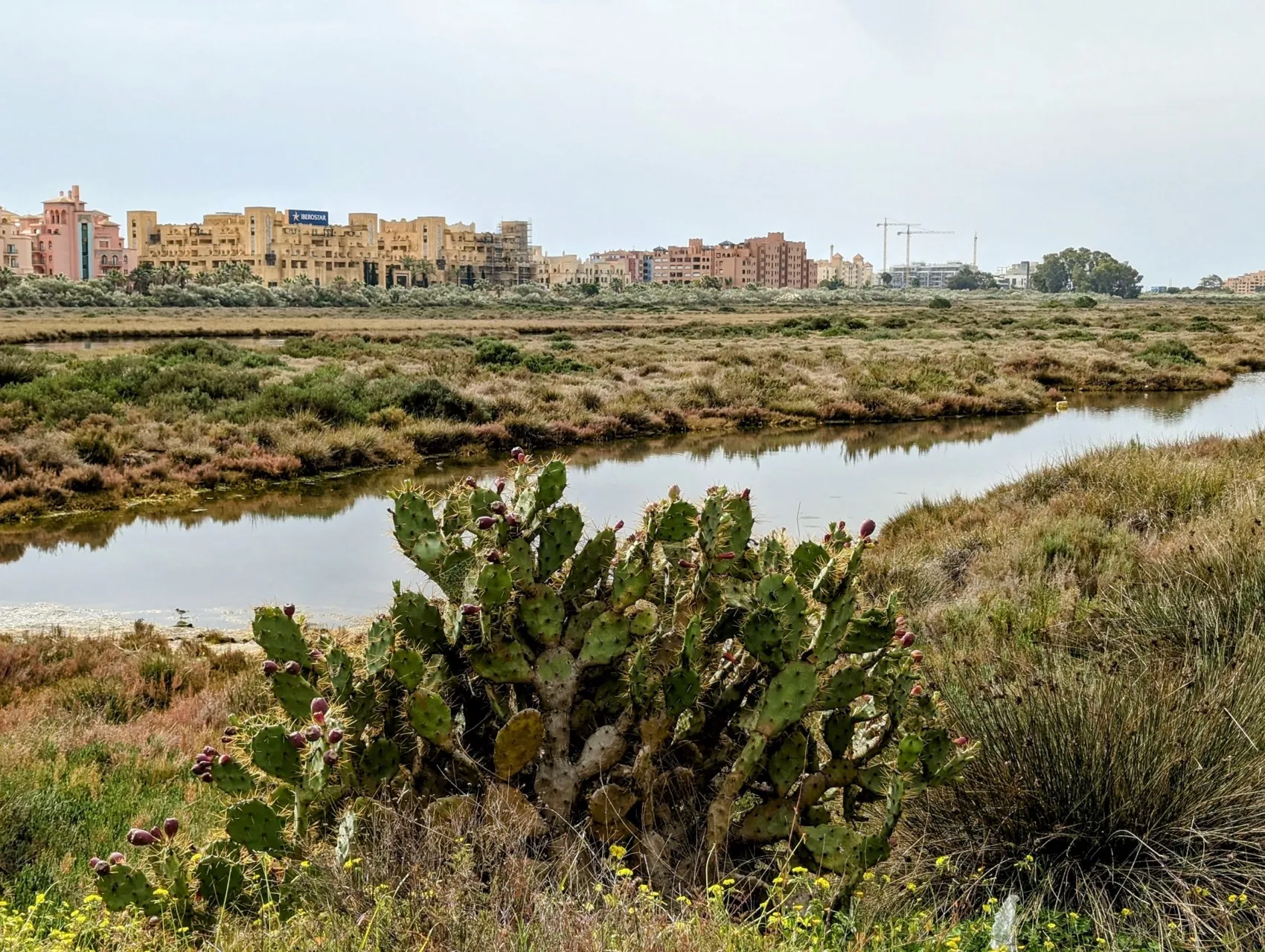 Etappe 13: Monte Gordo ⇒ Lepe - foto 2