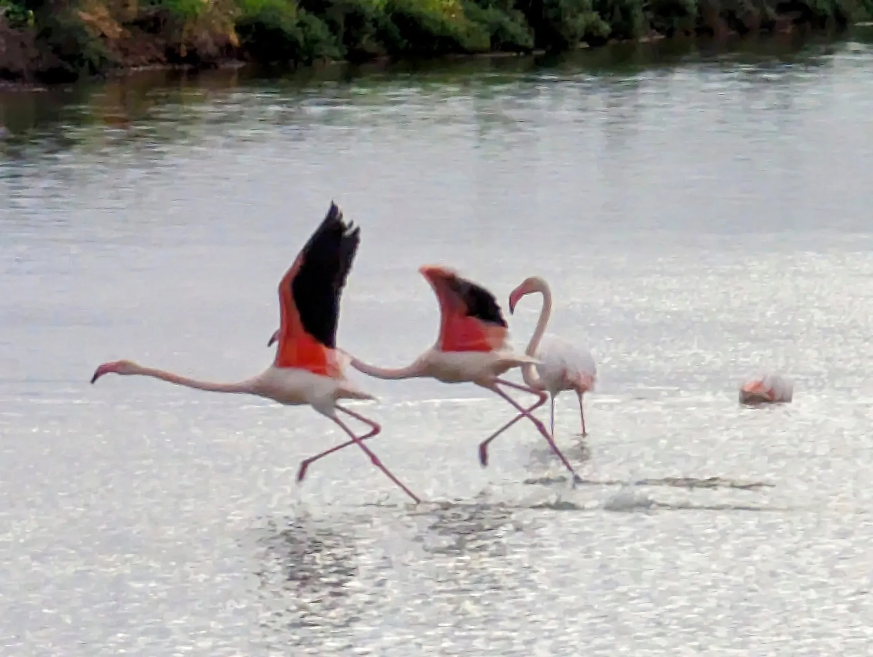 Etappe 11: Fuseta ⇒ Conceição - foto 1