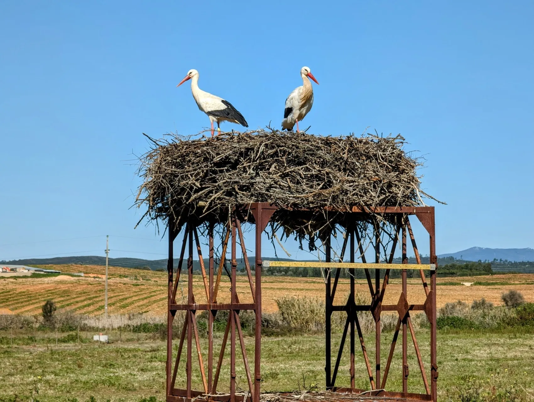 Etappe 4: Lagos ⇒ Alvor - foto 4