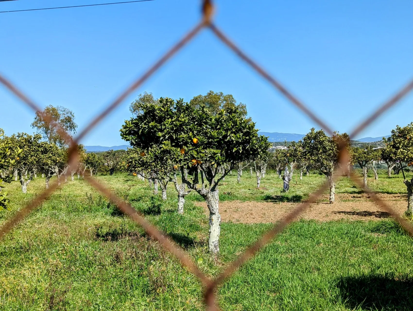 Etappe 4: Lagos ⇒ Alvor - foto 3