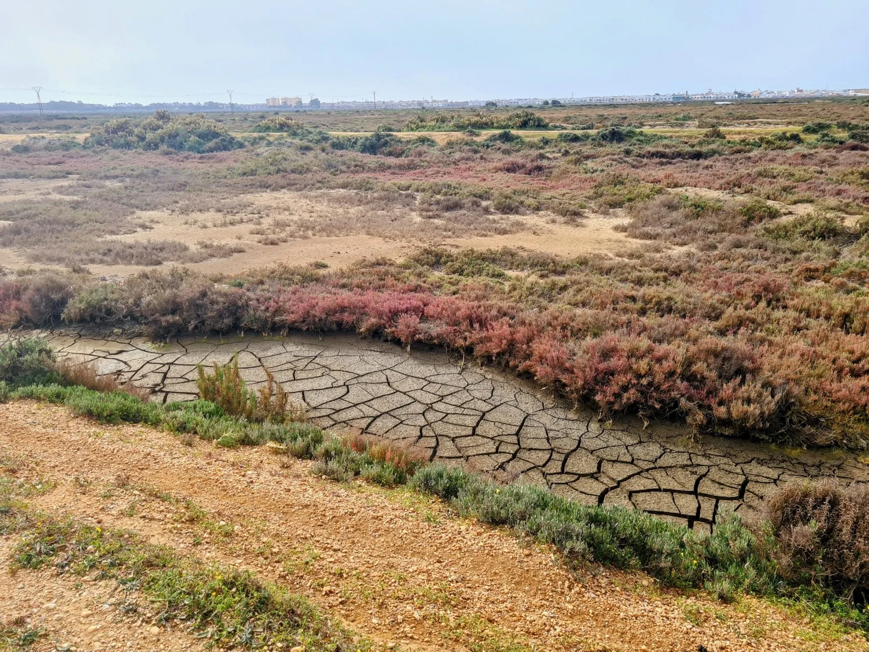 Etappe 13: Monte Gordo ⇒ Lepe - foto 5