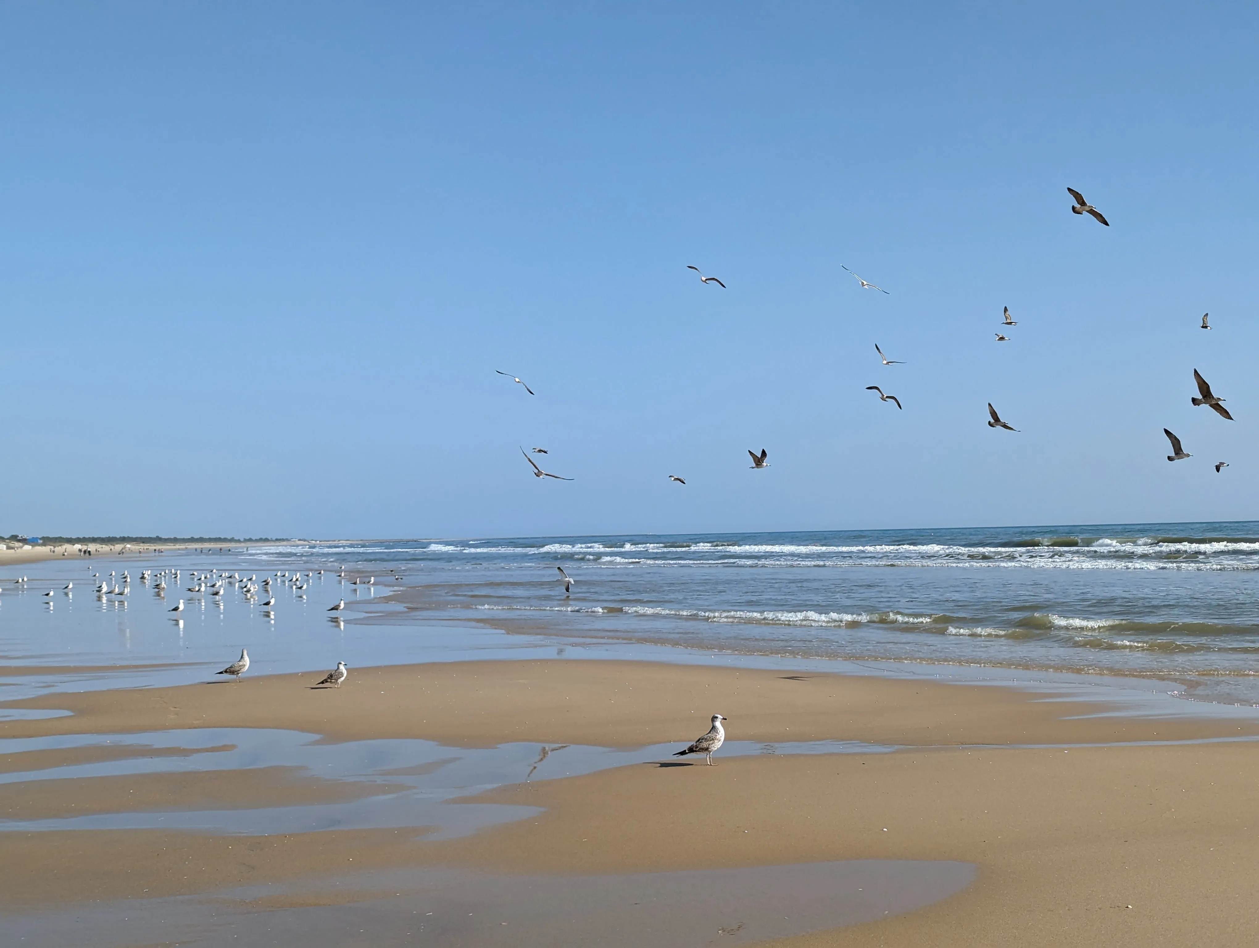 From Portugal to Spain