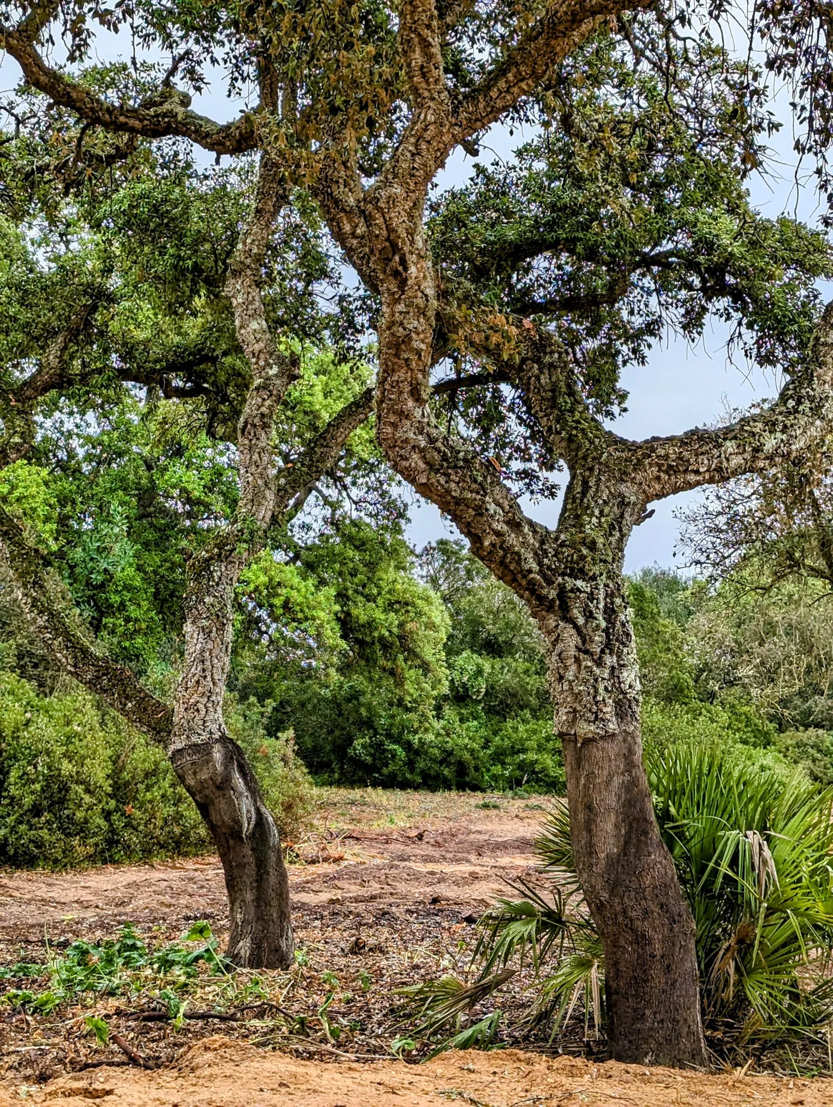 Stage 22: Chiclana de la Frontera ⇒ Playa de El Palmar - photo 1