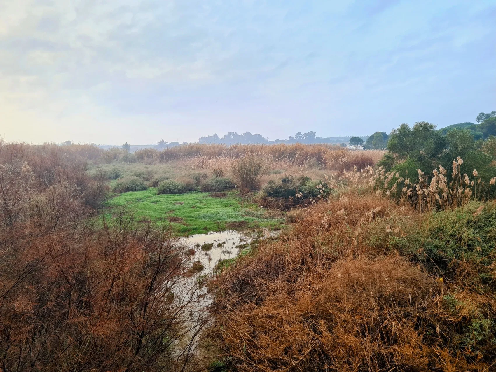 Etappe 14: Lepe ⇒ Huelva - foto 1