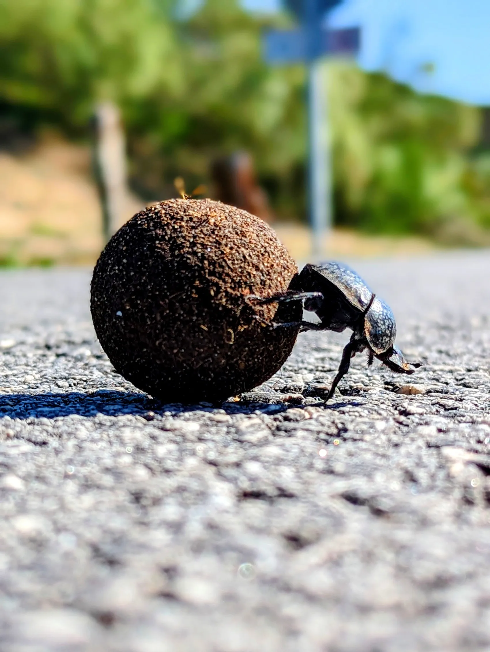 Stage 25: Bolonia ⇒ Tarifa - photo 2