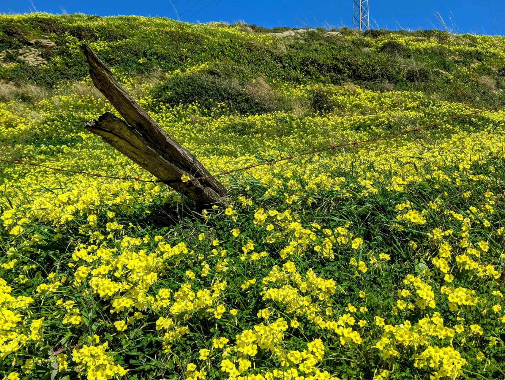 Etappe 26: Tarifa ⇒ El Cuartón - foto 1