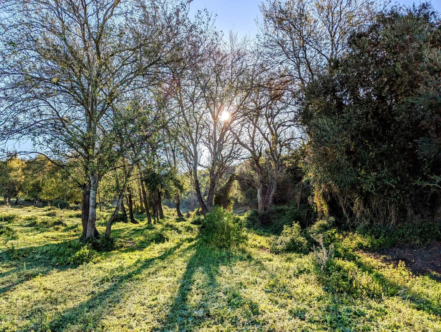 Etappe 28: Los Barrios ⇒ Castillo de Castellar - foto 3