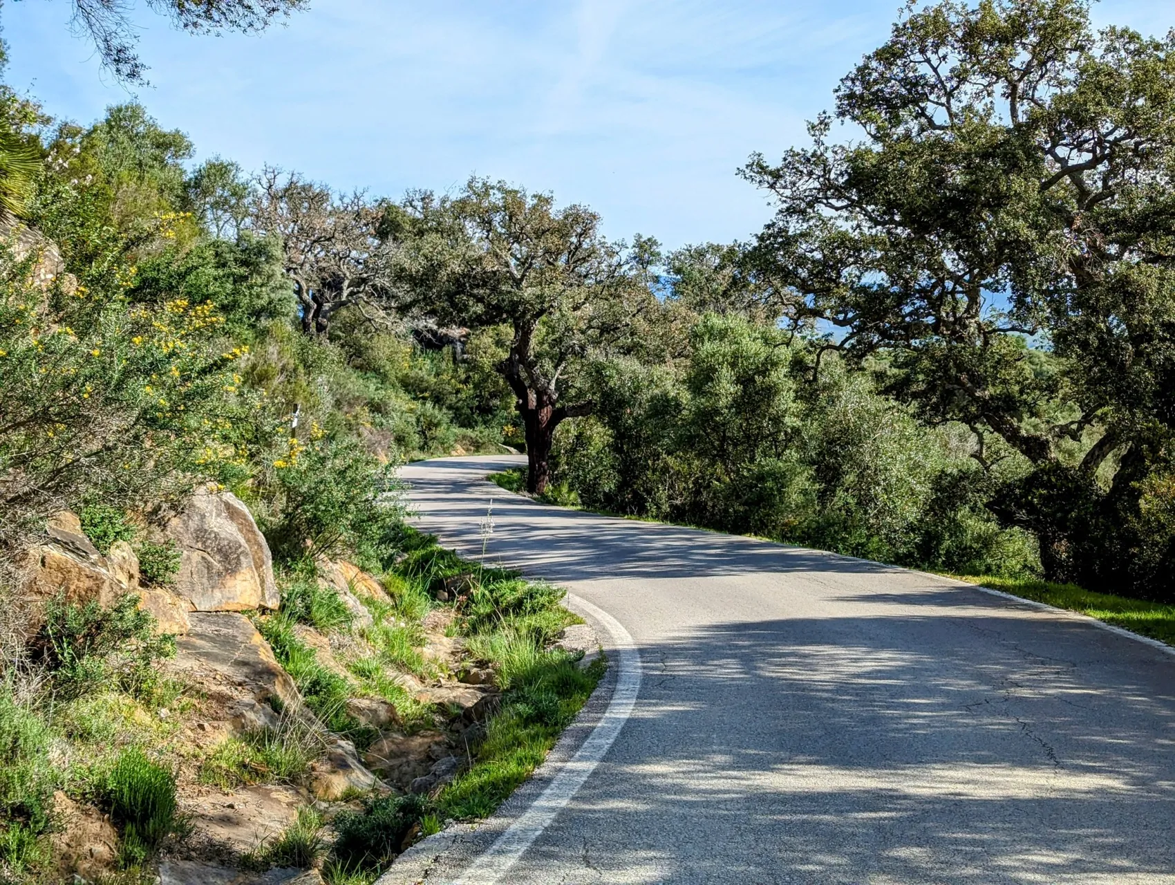 Etappe 29: Castillo de Castellar ⇒ Jimena de la Frontera - foto 4