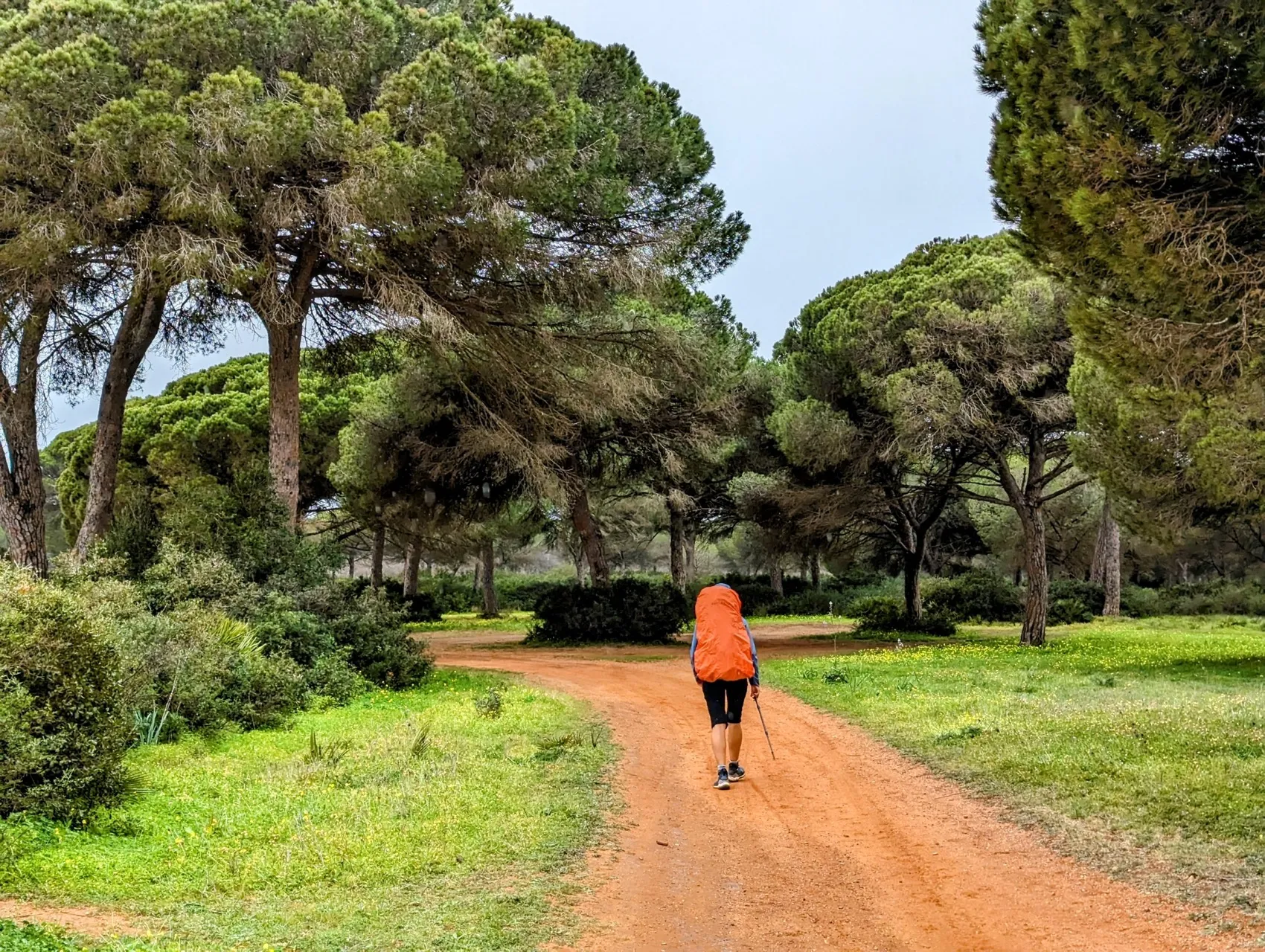 Stage 22: Chiclana de la Frontera ⇒ Playa de El Palmar - photo 2
