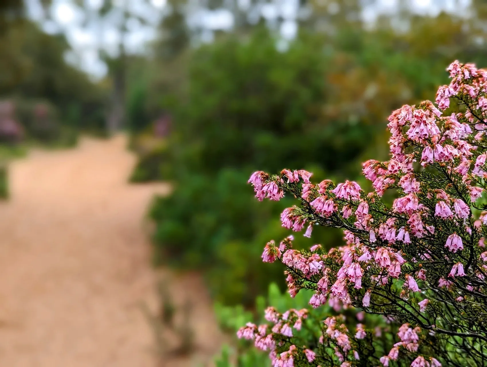 Stage 22: Chiclana de la Frontera ⇒ Playa de El Palmar - photo 3