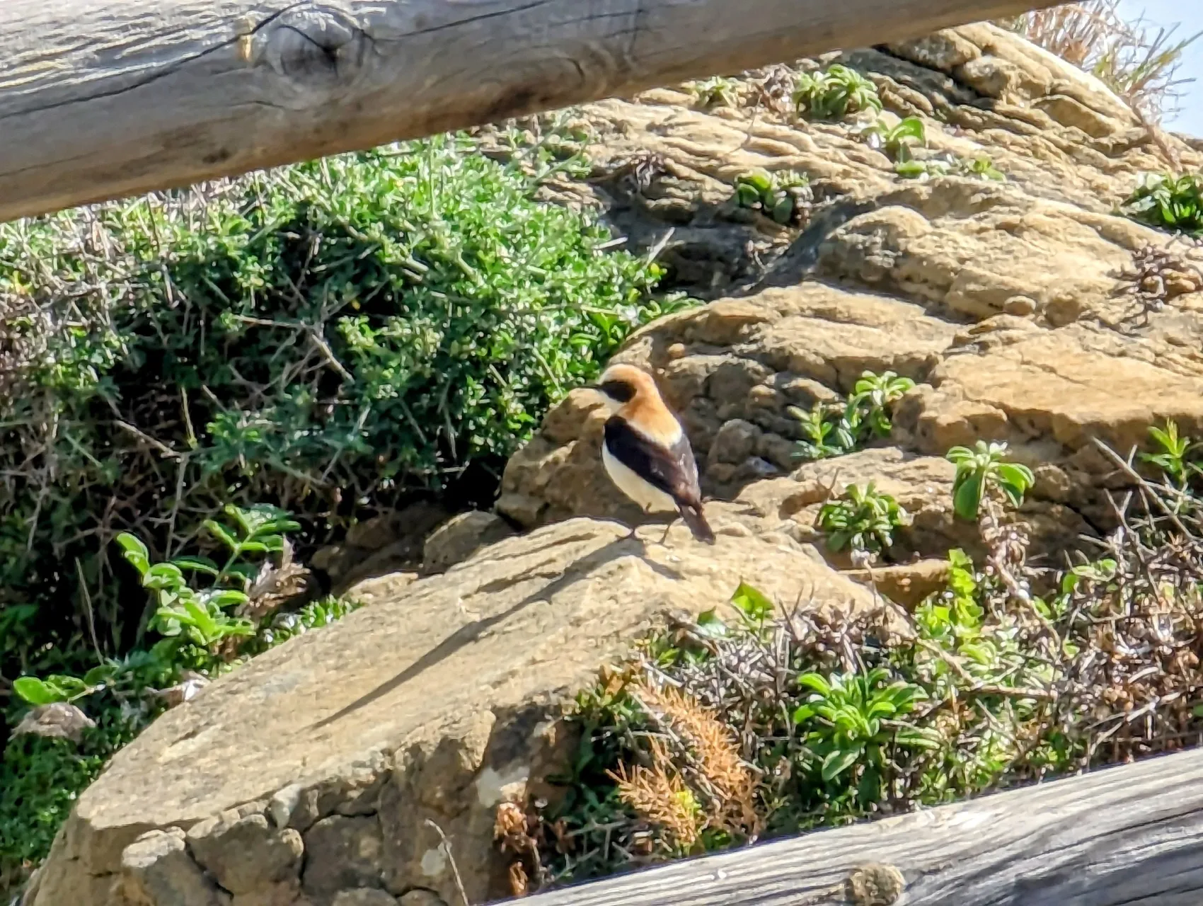 Etappe 26: Tarifa ⇒ El Cuartón - foto 2